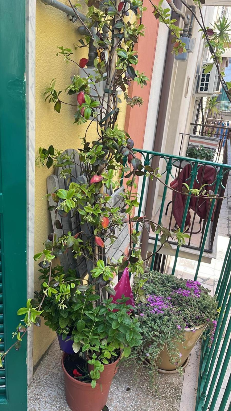 La Casa Di Nonna Sisina Villa Mola di Bari Buitenkant foto